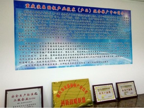 重慶液晶面板產業(yè)技術推廣中心成立，助力技術與產品服務升級